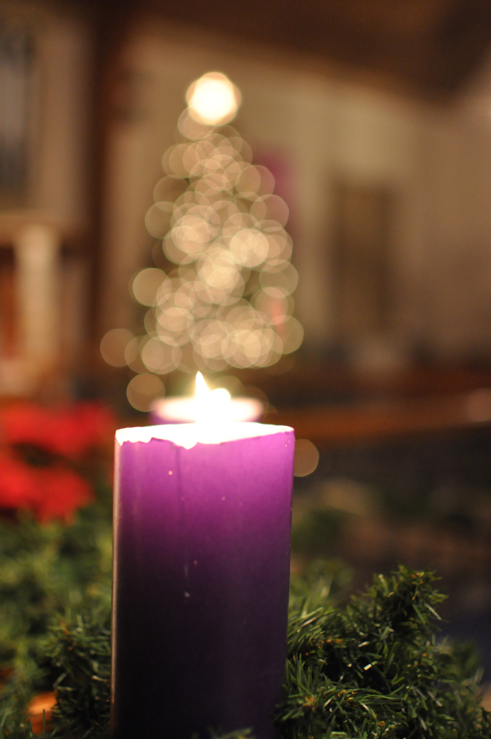 In the weeks leading up to Christmas, we prepare make room in our lives for Christ to enter. Photo by Angelia Sims of Angelia's Photography.