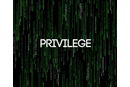 PRIVILEGE_matrix