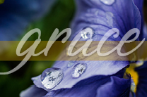 My grace is all you need. Illustration by Troy Dossett, United Methodist Communications