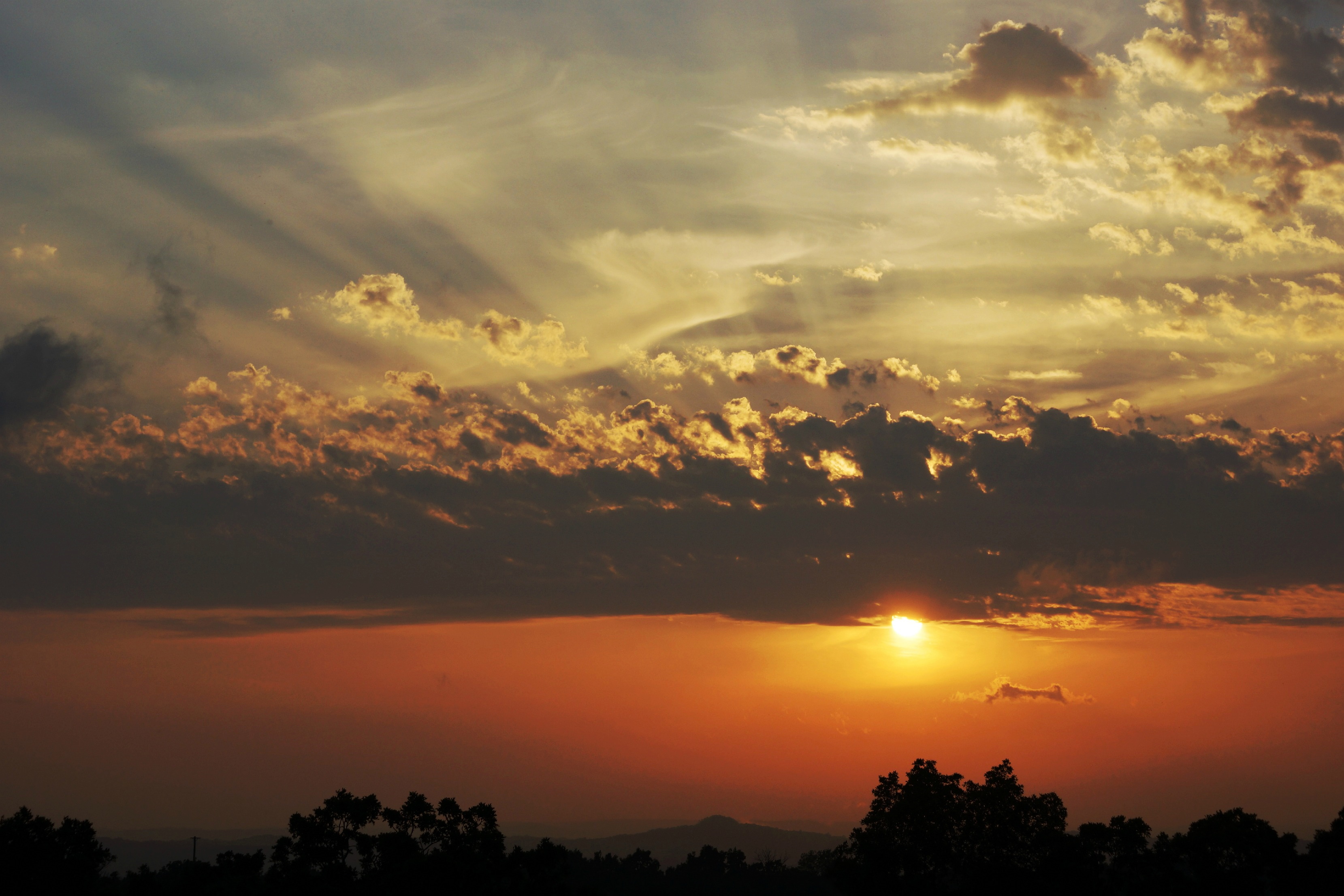 Photo by Debbie Fielding Wray.