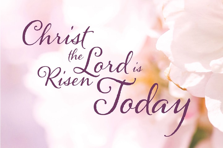United Methodist founder Charles Wesley’s Easter hymn “Christ the Lord Is Risen Today” is a celebration of resurrection and new life. Image by Kathryn Price, United Methodist Communications.