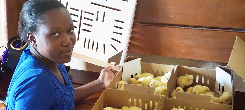 Tendai Musandaka, 20, holds a box of chicks that she and other women and girls will raise to generate income in Marange, Zimbabwe, which has been affected by drought. The farming program is led by The United Methodist Church’s Ministry with Women, Youth and Children and funded by the UMCOR.