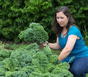 Rachael Porter harvests kale from the community garden at Concord United Methodist Church in Athens, W.Va. Porter, whose husband pastors the church, founded a nonprofit that will aid people in recovery by growing, processing and selling tea. Photo by Mike DuBose, UMNS
