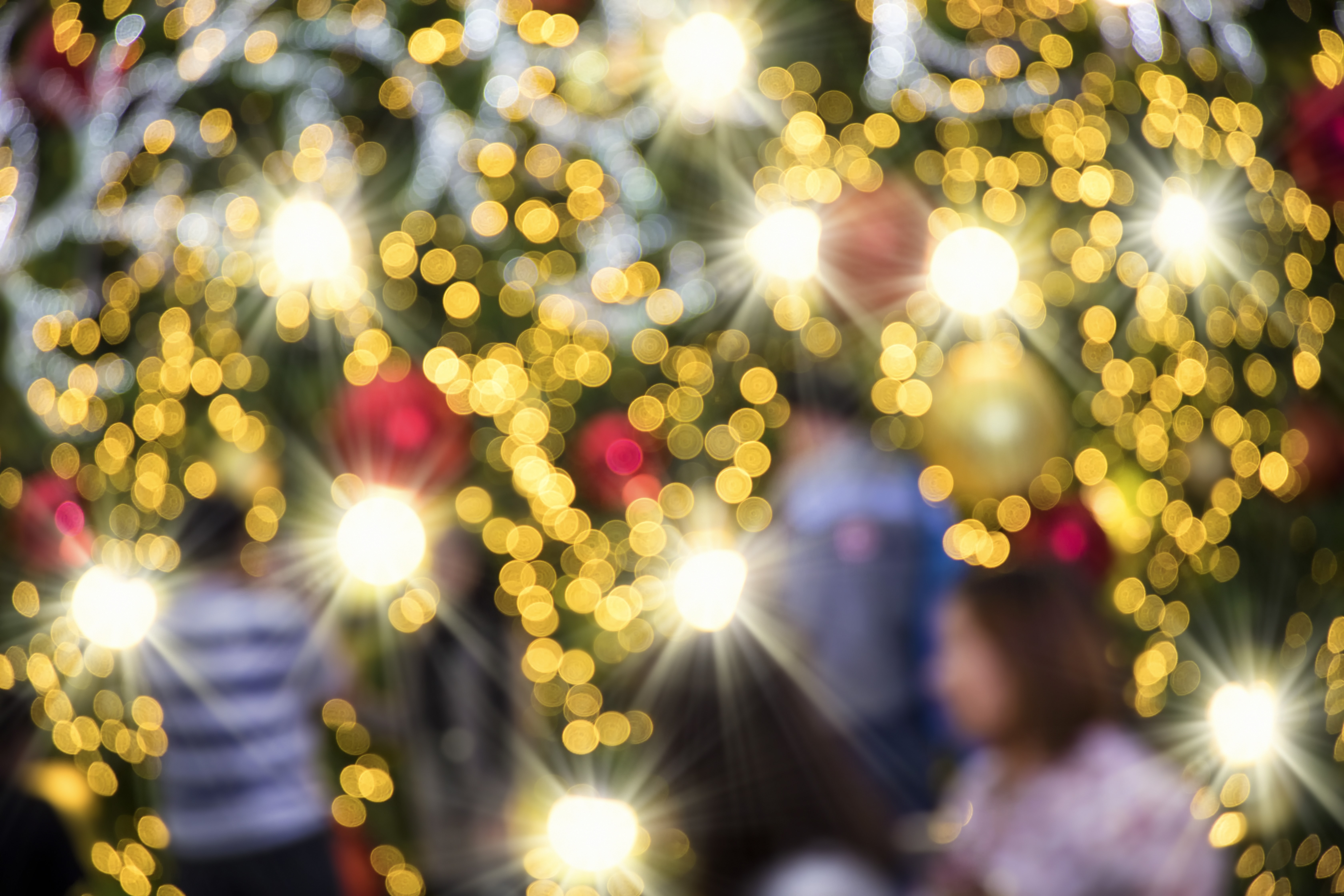 Contemplative Practices for Christmas Peace