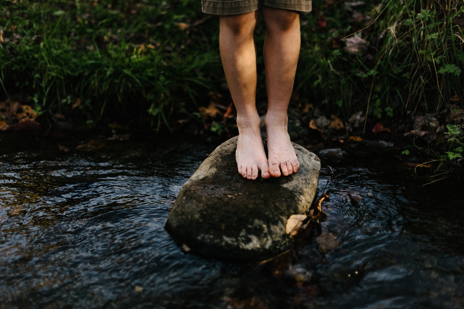A person stands on a stepping stone in a stream. Photo by Jordan Whitt on Unsplash