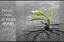 Photo by skeeze, courtesy of pixabay.com; graphic by Laurens Glass, United Methodist Communications
