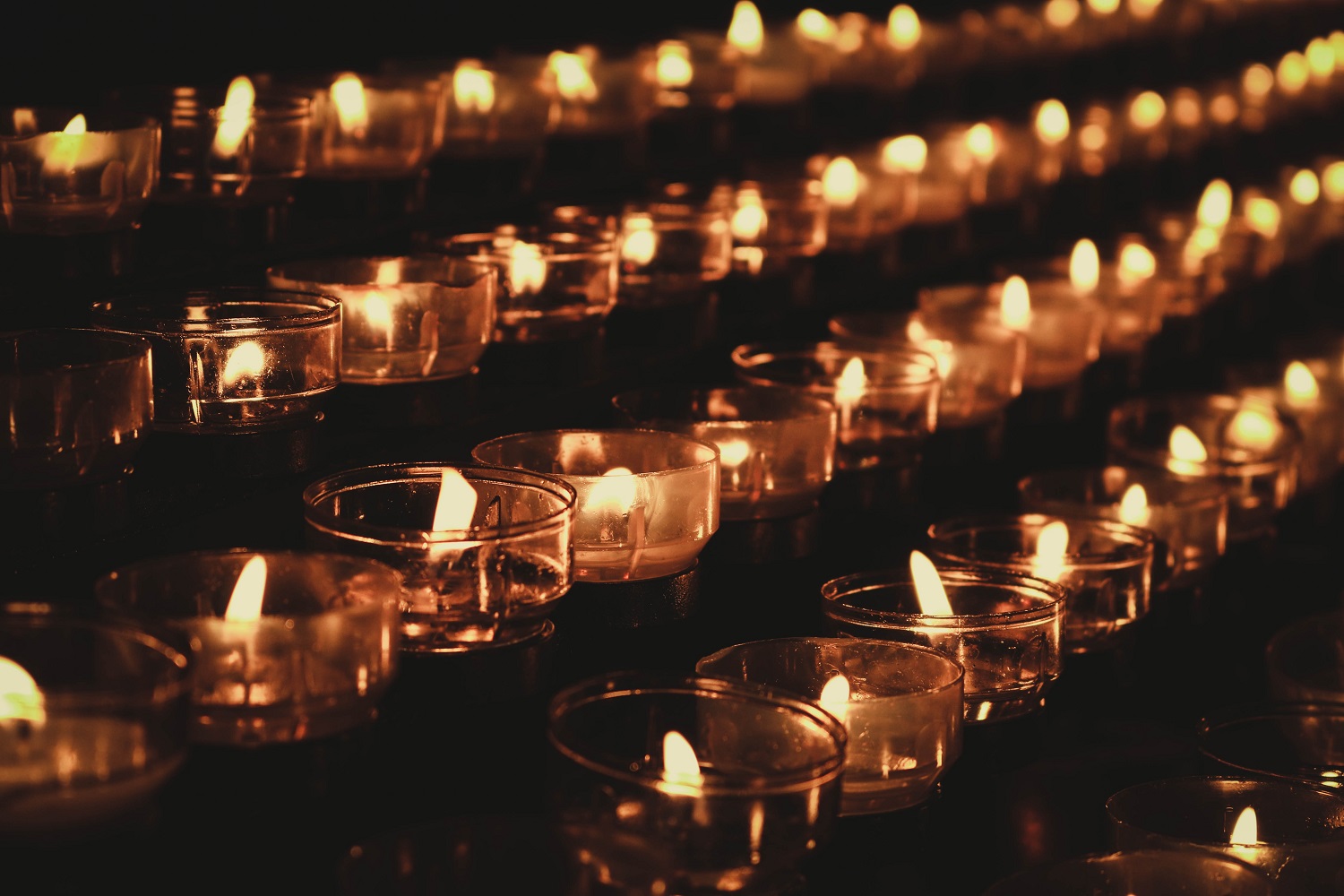 Too many people have been Martyrs of Racism. We pay respects to this Cloud of Witnesses as United Methodists across the globe work to dismantle racism. Image by Pascal Muller from Unsplash