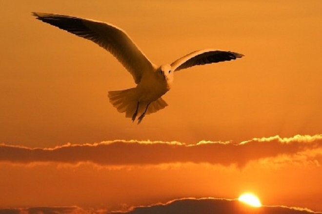 "How long, O Lord?" Throughout the history of the church, we often have seen that new ministries grow out of places of pain.