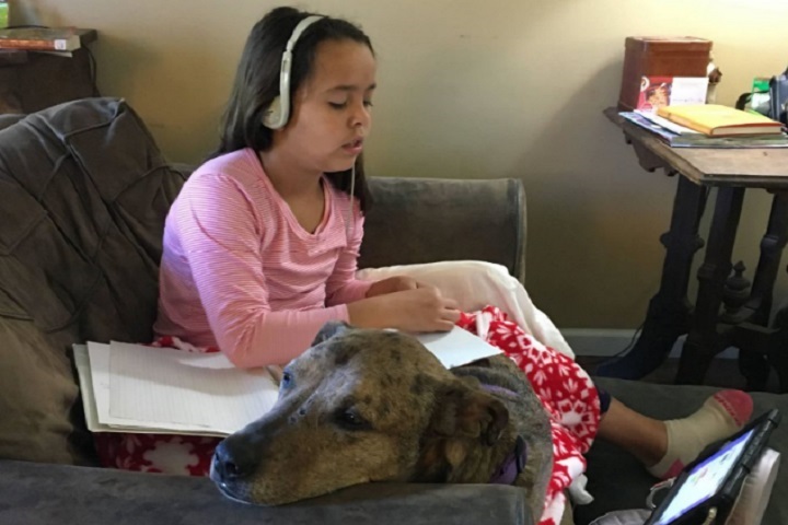 child studying with a digital device