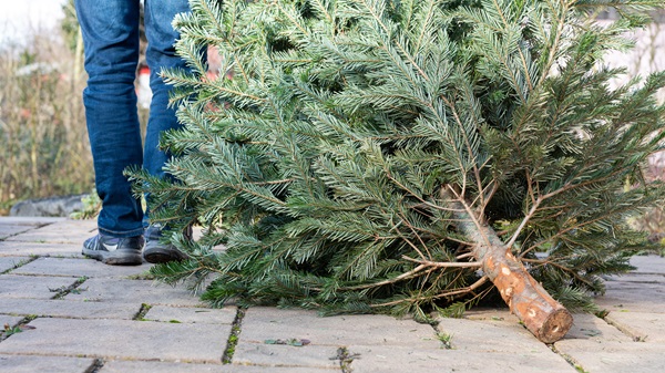 What happens after Christmas?