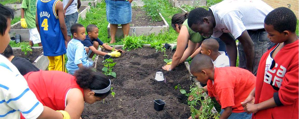 The Big Garden, founded in 2005 by United Methodist Ministries, cultivates food security by developing community gardens, creating opportunities to serve, and providing education on issues related to hunger. Photo courtesy of biggarden.org.