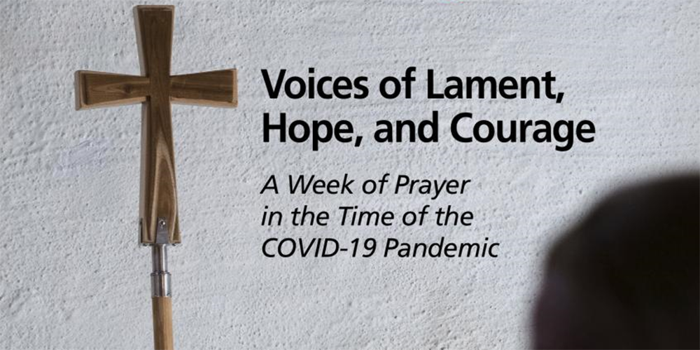 Photo courtesy of WCC.