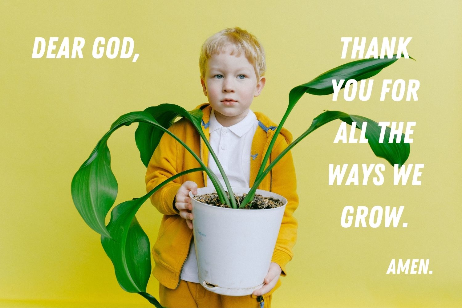 When is a time when you noticed that you had grown? In what areas do you still hope to grow? Growing is the topic of this "Get Them Talking" edition. Photo by Anna Shvets for Pexels; Canva design by United Methodist Communications.