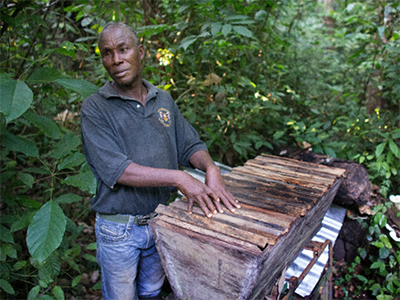 The Liberia UMC will establish farmer groups who will learn skills like beekeeping. This hive, built and maintained by the Rev. Joe Gatei in Ganta, Liberia, has long supplemented the pastor’s income. PHOTO: MIKE DUBOSE, UMNS.