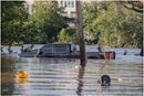 A truck sits in floodwaters near the Schuylkill River in Bridgeport, Penn, as remnants of Hurricane Ida impacted the Mid-Atlantic region, Sept. 2, 2021. Photo by Ben Von Klemperer
