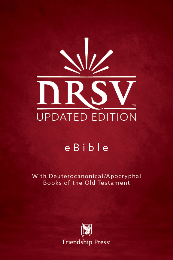 The Bible Year deja que cada uno escoja qué Biblia va a usar. Este año 2022, ha salido a la luz una edición actualizada de la famosa versión New Revised Standard Version (NRSV), que logra que la Biblia sea más precisa, porque contiene más de 20,000 revisiones de gramática, vocabulario y puntuación. 