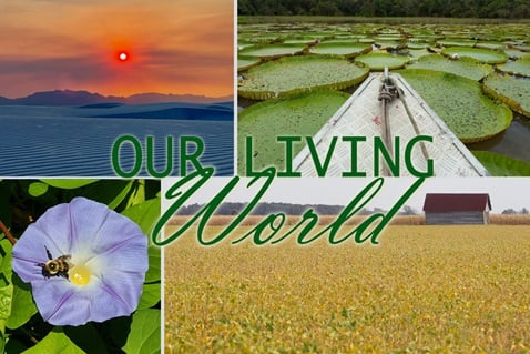 The Our Living World series focuses on ways United Methodists seek to re-link themselves with the living world that sustains them. Images by Laurens Glass, Paul Gomez and Mike DuBose, United Methodist Communications.