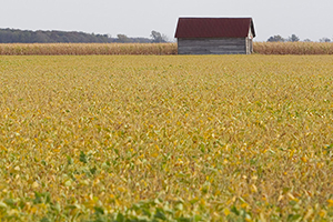 A field in rural Putnam County, Ohio, under cultivation. "You prepare their grain, for thus You prepare the earth," Psalm 65:9. Photo by Mike DuBose, United Methodist Communications.