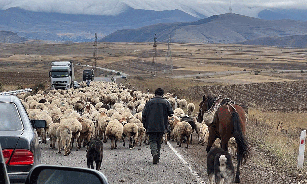 Photo: Peter Prove/WCC