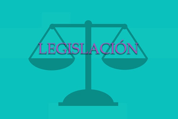 La legislación que la Comisión Permanente sobre asuntos de la Conferencia Central está trayendo a esta máxima asamblea legislativa de la iglesia, varios pasos hacia el objetivo de construir unidad conexional y al mismo tiempo, dejar espacio para la adaptación en cada región del mundo. Gráfico de Laurens Glass, Comunicaciones Metodistas Unidas.