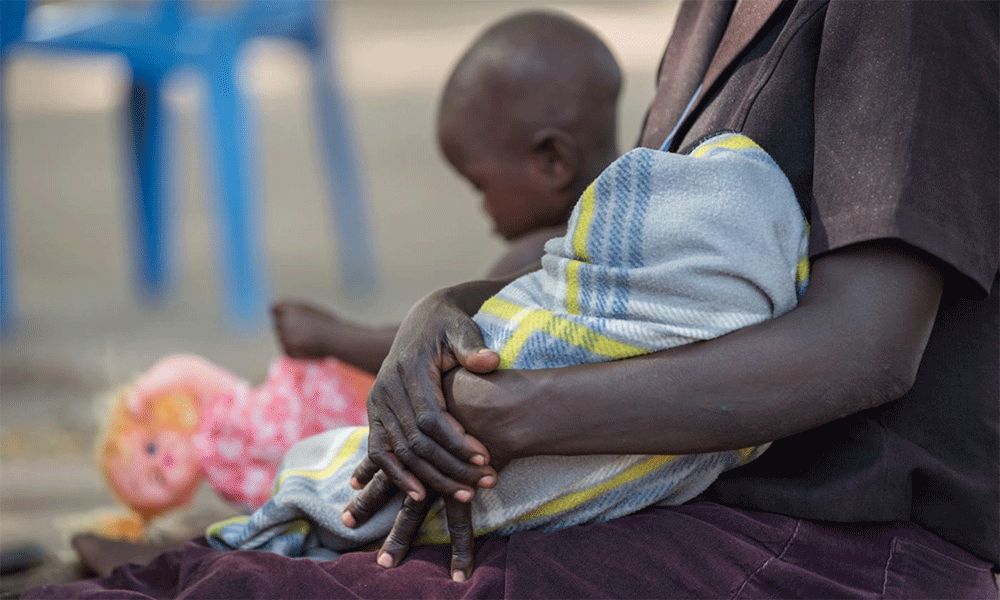 Photo: Albin Hillert/Life on Earth Pictures.