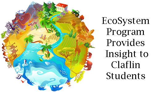 Photo credit: FreePik