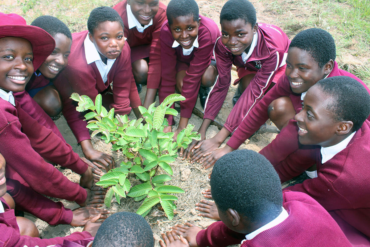Les élèves de l'école secondaire Hanwa Mission de l'Église Méthodiste Unie, située à Hanwa, au Zimbabwe, se rassemblent autour d'un goyavier qu'ils ont planté dans l'enceinte de l'établissement. Cette initiative de plantation d'arbres, financée par le Conseil de l'Église et de la société de l'Église Méthodiste Unie, vise à promouvoir la protection de la création et l'apprentissage pratique. Photo de Kudzai Chingwe, UM News.