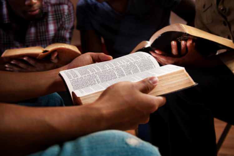 Bible reading