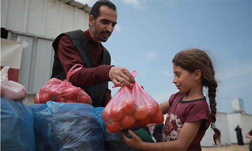 Fresh food distribution to Gazan Internally Displaced People (IDPs) through UMCOR partner United Palestinian Appeal. Photo: UPA